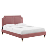 Modway Furniture Novi Performance Velvet King Bed 0423 Dusty Rose MOD-6838-DUS