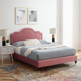 Modway Furniture Aviana Performance Velvet King Bed 0423 Dusty Rose MOD-6839-DUS