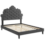 Modway Furniture Sasha Button-Tufted Performance Velvet King Bed 0423 Charcoal MOD-6842-CHA