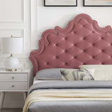 Modway Furniture Sasha Button-Tufted Performance Velvet King Bed 0423 Dusty Rose MOD-6842-DUS