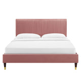 Modway Furniture Peyton Performance Velvet Twin Platform Bed MOD-6866-DUS