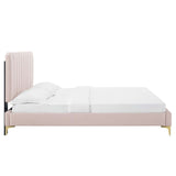 Modway Furniture Reagan Full Performance Velvet Platform Bed 0423 Pink MOD-6891-PNK