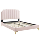 Modway Furniture Colette King Performance Velvet Platform Bed 0423 Pink MOD-6894-PNK