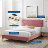 Phillipa Performance Velvet Full Platform Bed Dusty Rose MOD-6922-DUS