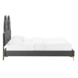 Alexandria Tufted Performance Velvet Twin Platform Bed Charcoal MOD-6931-CHA