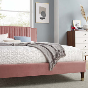 Modway Furniture Zahra Channel Tufted Performance Velvet Queen Platform Bed 0423 Dusty Rose MOD-6970-DUS