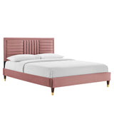 Modway Furniture Sofia Channel Tufted Performance Velvet Queen Platform Bed 0423 Dusty Rose MOD-6971-DUS