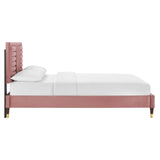 Modway Furniture Sofia Channel Tufted Performance Velvet Queen Platform Bed 0423 Dusty Rose MOD-6971-DUS