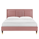 Modway Furniture Sofia Channel Tufted Performance Velvet Queen Platform Bed 0423 Dusty Rose MOD-6971-DUS