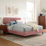 Modway Furniture Sofia Channel Tufted Performance Velvet Queen Platform Bed 0423 Dusty Rose MOD-6971-DUS