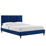 Modway Furniture Sofia Channel Tufted Performance Velvet Queen Platform Bed 0423 Navy MOD-6971-NAV