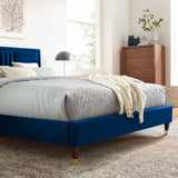 Modway Furniture Sofia Channel Tufted Performance Velvet Queen Platform Bed 0423 Navy MOD-6971-NAV