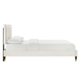 Modway Furniture Sofia Channel Tufted Performance Velvet Queen Platform Bed 0423 White MOD-6971-WHI