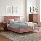 Modway Furniture Yasmine Channel Tufted Performance Velvet Queen Platform Bed 0423 Dusty Rose MOD-6972-DUS