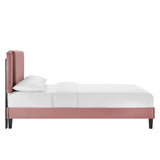 Modway Furniture Zahra Channel Tufted Performance Velvet Queen Platform Bed 0423 Dusty Rose MOD-6974-DUS