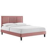 Modway Furniture Sofia Channel Tufted Performance Velvet Queen Platform Bed 0423 Dusty Rose MOD-6975-DUS