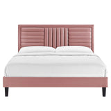 Modway Furniture Sofia Channel Tufted Performance Velvet Queen Platform Bed 0423 Dusty Rose MOD-6975-DUS