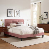 Modway Furniture Sofia Channel Tufted Performance Velvet Queen Platform Bed 0423 Dusty Rose MOD-6975-DUS