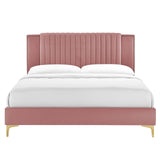 Modway Furniture Zahra Channel Tufted Performance Velvet Queen Platform Bed 0423 Dusty Rose MOD-6978-DUS