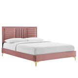 Modway Furniture Sofia Channel Tufted Performance Velvet Queen Platform Bed 0423 Dusty Rose MOD-6979-DUS