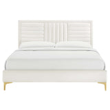 Modway Furniture Sofia Channel Tufted Performance Velvet Queen Platform Bed 0423 White MOD-6979-WHI