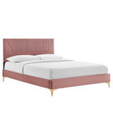 Modway Furniture Yasmine Channel Tufted Performance Velvet Queen Platform Bed 0423 Dusty Rose MOD-6980-DUS