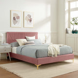 Modway Furniture Yasmine Channel Tufted Performance Velvet Queen Platform Bed 0423 Dusty Rose MOD-6980-DUS