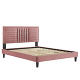 Modway Furniture Sofia Channel Tufted Performance Velvet King Platform Bed 0423 Dusty Rose MOD-7015-DUS