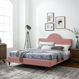 Aurora Performance Velvet King Bed Dusty Rose MOD-7032-DUS