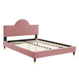 Aurora Performance Velvet King Bed Dusty Rose MOD-7032-DUS