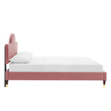 Aurora Performance Velvet King Bed Dusty Rose MOD-7032-DUS