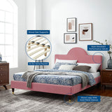 Aurora Performance Velvet King Bed Dusty Rose MOD-7032-DUS