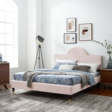 Aurora Performance Velvet King Bed Pink MOD-7032-PNK