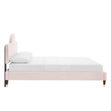 Aurora Performance Velvet King Bed Pink MOD-7032-PNK