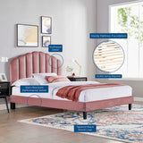 Modway Furniture Daisy Performance Velvet Full Platform Bed XRXT Dusty Rose MOD-7039-DUS