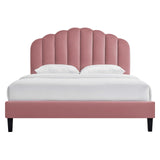 Modway Furniture Daisy Performance Velvet Full Platform Bed XRXT Dusty Rose MOD-7039-DUS