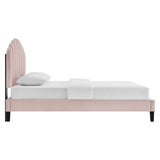 Modway Furniture Daisy Performance Velvet Full Platform Bed XRXT Pink MOD-7039-PNK
