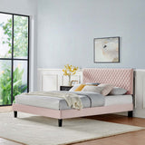 Modway Furniture Garcelle Performance Velvet Full Platform Bed XRXT Pink MOD-7040-PNK