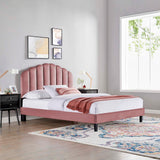 Modway Furniture Daisy Performance Velvet Twin Platform Bed XRXT Dusty Rose MOD-7043-DUS