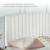 Modway Furniture Alessi Performance Velvet King Platform Bed XRXT White MOD-7045-WHI