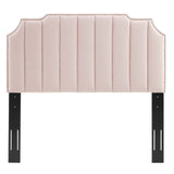 Modway Furniture Colette King Performance Velvet Platform Bed 0423 Pink MOD-7074-PNK