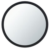 Safavieh Jove Mirror Black Iron/Glass MRR2006C