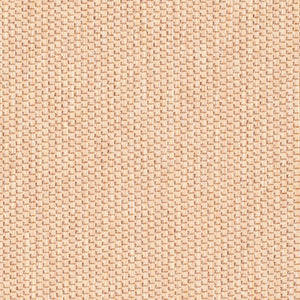 Safavieh Color Frame Power Loomed 100%Polypropylene Rug MSR4127K-8