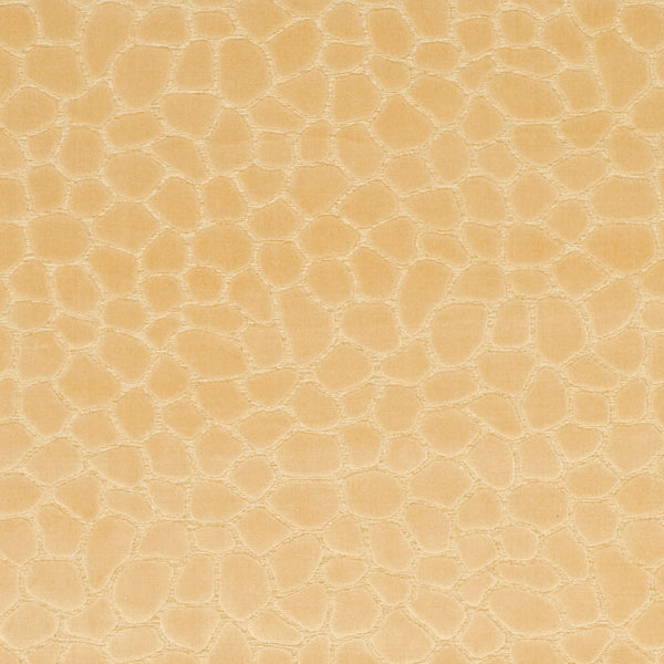 Martha Stewart Reptilian Tufted/Hand Loomed Viscose Pile Rug in Creme 8ft x 11ft-2in