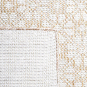 Safavieh Msr Hampton 4491 Power Loomed 100% Polypropylene Indoor/Outdoor Rug MSR4491B-9