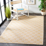 Safavieh Msr Hampton 4491 Power Loomed 100% Polypropylene Indoor/Outdoor Rug MSR4491C-9