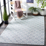 Safavieh Msr Hampton 4491 Power Loomed 100% Polypropylene Indoor/Outdoor Rug MSR4491M-9