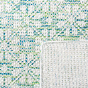 Safavieh Msr Hampton 4491 Power Loomed 100% Polypropylene Indoor/Outdoor Rug MSR4491W-9