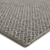 Jaipur Living Nirvana Collection NIR02 Foster 100% Polypropylene Handmade Transitional Trellis Rug RUG152395