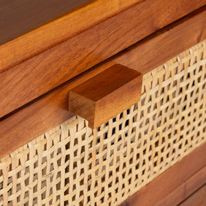 Safavieh Devon 1 Drawer 1 Door Nightstand NST4002A